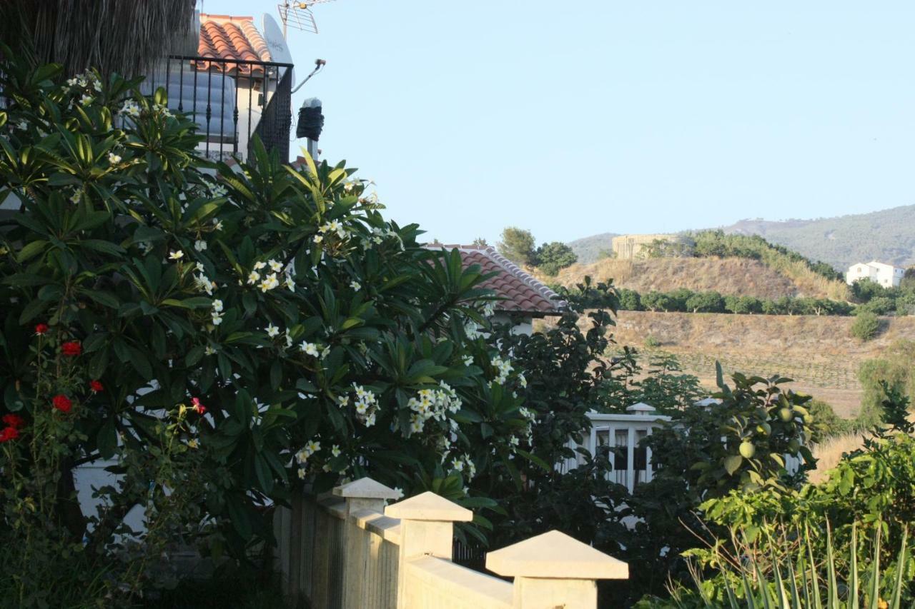 Villa Cortijo Del Sidi Motril Exterior foto
